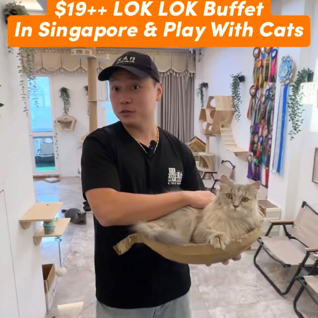 A.K Zai Lok Lok buffet